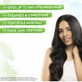 thumbnail image 2 of Mamaearth Rosemary Anti-Hair Fall Shampoo,250ml, +Conditioner, 250ml, 2 of 4