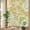 Cream, Beige, White, variant on Window Privacy Film for Home Office Static Cling, Orange Conch Coastal Decorative Stained Glass Window Film for Large Sliding Door Nautical Summer Starfish Shell Coral 29.5 x 118 Inches