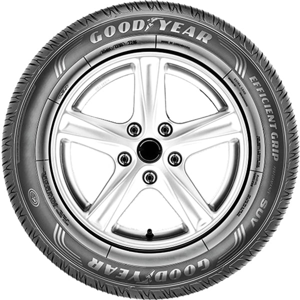Tire Goodyear EfficientGrip SUV 255/65R17 110H Performance
