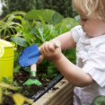 thumbnail image 4 of POINTERTECK 7PCS Mini Gardening Tool Set Small Hand Kids Gardening Tools Kit with Shovel Rake Spoon Colorful Garden Toys for Children Durable Childs Garden/Beach Trowel Set, 4 of 10