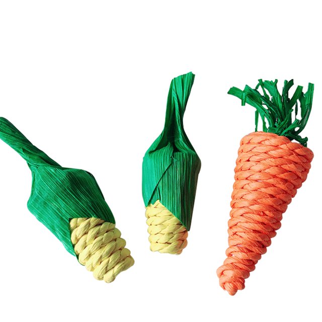 Bird Toy Straw Bite-proof 3PCS Interactive Hamster Carrot Toy Parrot Chew Toy