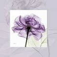 thumbnail image 2 of Koetsier, Albert 26x26 Black Ornate Wood Framed with Double Matting Museum Art Print Titled - purpleRose, 2 of 4
