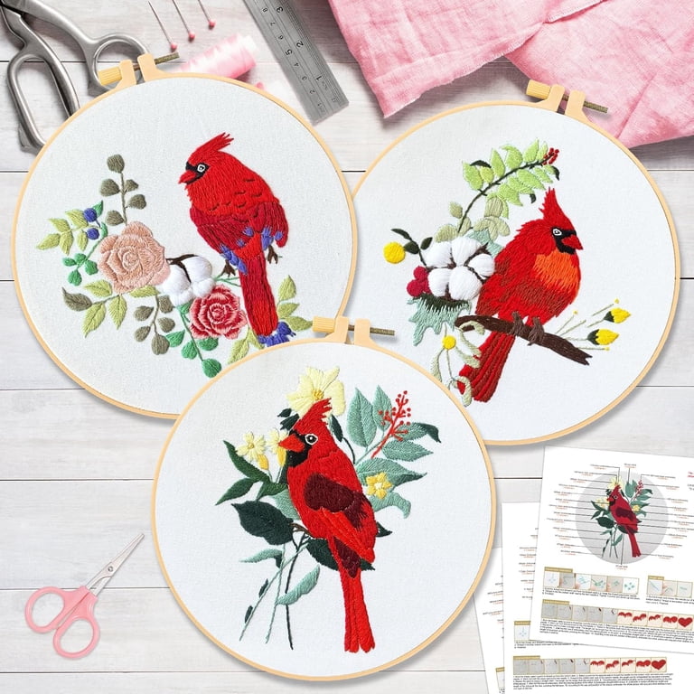 VETPW Embroidery Kit for Beginners, Red Birds Stamped Set photo 6