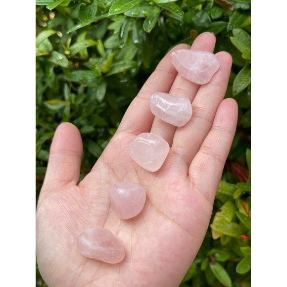 Rose Quartz Tumbled Stone, 0.7-0.85" Tumbled Rose Quartz
