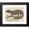 thumbnail image 2 of Mark Catesby 18x15 Black Modern Framed Museum Art Print Titled - The Pole Cat (Pullra Putorius) (1731-1743), 2 of 5
