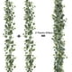 thumbnail image 2 of Xiao Hua Guirnalda de eucalipto con flores blancas (2 paquetes, 1,8 m, hojas de eucalipto dólar de plata, guirnalda de gypsophila, enredaderas artificiales), 2 of 5