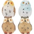 thumbnail image 1 of 4PCS Micro Landscape Resin Owl Decoration Gardening Bare-footed Owl Ornament Random Style, 1 of 8
