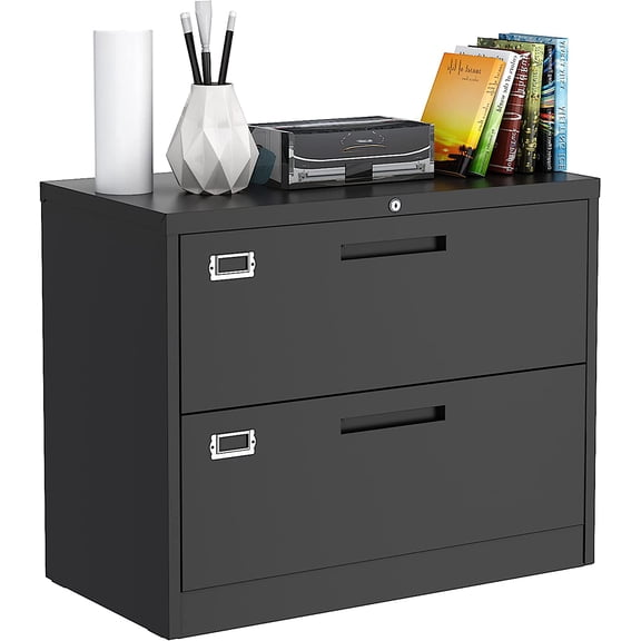 Metal Lateral File Cabinets with Lock,2 Drawer Steel Wide Filing Organization Storage Cabinets,Home Office Furniture for Hanging Files Letter/Legal/F4 Size