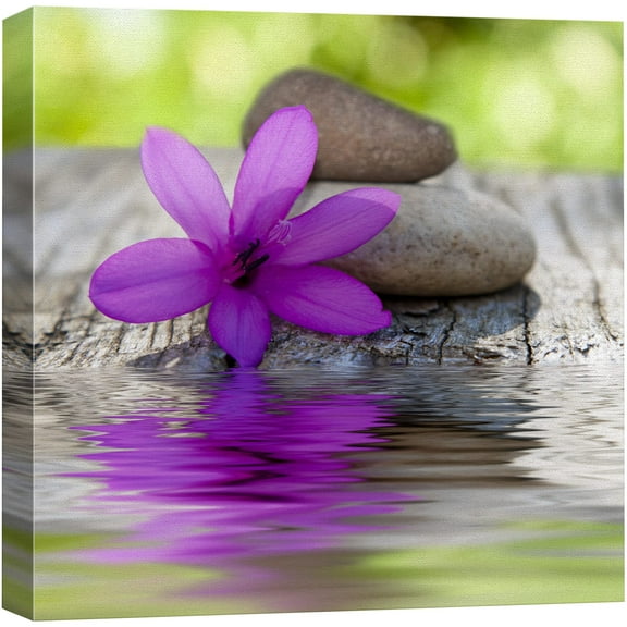 wall26 Canvas Print Wall Art Purple Lily with Stones & Water Reflection Floral Nature Digital Art Modern Art Rustic Scenic Relax/Calm Colorful for Living Room, Bedroom, Office - 12"x12"