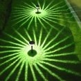 thumbnail image 3 of WQQZJJ Modern Lamp Outdoor Floor Lamp Solar Powered Lights Decorative Ground Plug-in Lamp Home Outdoor Garden Lamp Garden Lights Yard Lights, 3 of 3
