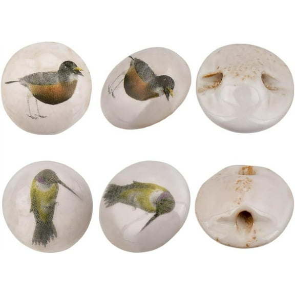 6Pcs 2 Colors Round Ceramic Buttons 22x11mm 1-Hole Large Sewing Ceramics Buttons Round Craft Buttons Ceramic Snaps with Birds for Shirt Sweater Projects Sewing Crafting or Handmade colorful DIY