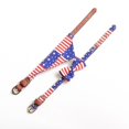 thumbnail image 3 of Ensemble Collier et Laisse pour Chien Drapeau Américain - Snngv, 3 of 4