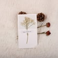 thumbnail image 2 of SIfdSeng Get it Fast Christmas Charm Dried Flower Greeting Card Festive Design Natural Holiday Sentiments Idea, 2 of 5