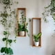thumbnail image 2 of Pack 2 Repisas Rectangulares MDF Plantas Decoración Pared, 2 of 3
