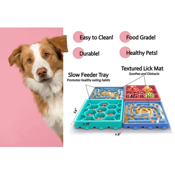 Dog top distraction toys