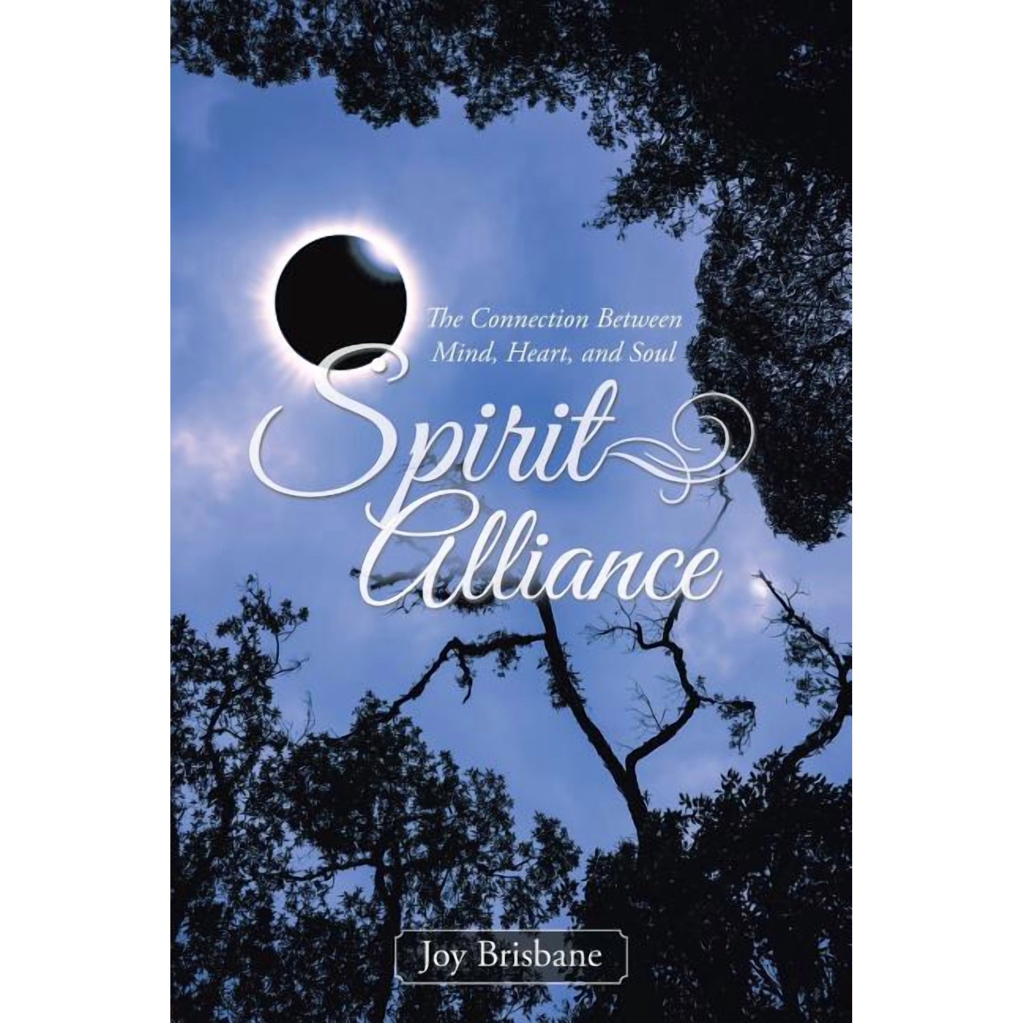 Spirit Alliance: The Connection Between Mind Heart and Soul (Paperback)