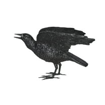 Raven with Open Wings Bronze Statue - Size: 16"L x 25"W x 15"H.