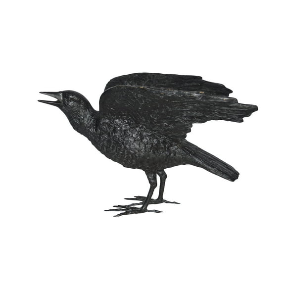 Raven with Open Wings Bronze Statue - Size: 16"L x 25"W x 15"H.