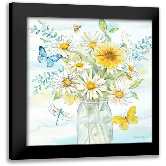 Coulter, Cynthia 12x12 Black Modern Framed Museum Art Print Titled - Daisy Days II clean