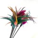 thumbnail image 4 of 6 uds. De juguetes para gatos con plumas y varita para gatos, juguete para gatos con forma de pluma, 4 of 5