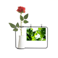thumbnail image 1 of Sunshine Picture Nature Artificial Rose Flower Hanging Vases Decoration Bottle, 1 of 3