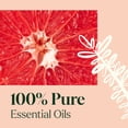 thumbnail image 5 of Plant Therapy Home Sparkling Grapefruit Laundry Essential Oil Blend 10 mL (1/3 oz) Pure, Undiluted, Wash Fragrance and Scent Enhancer, 5 of 10