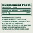 thumbnail image 4 of Spring Valley General Health & Wellness Iron Tablets Dietary Supplement Value Size, 65 mg, 200 Count, 4 of 7