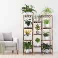 thumbnail image 5 of Oumilen Backyard Tall 11 Potted Ladder Garden Plant Rack, 5 of 7