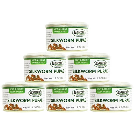 Canned Silkworms (6 pack)-  Healthy High Protein Insect Treat for Hedgehogs, Sugar Gliders, Reptiles, Wild Birds, Chickens, Lizards, Bearded Dragons, Skunks, Opossums, Fish, Amphibians, Turtles
