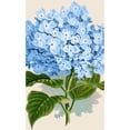 thumbnail image 2 of CafePress - Blue Hydrangea Flowers - 20x12 Wall Decal, 2 of 3