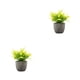thumbnail image 4 of Inteprter Decoración artificial elegante de la planta en conserva fácil limpiar el árbol artificial del dinero en pote respetuoso del medio Type3 NO3, 4 of 6
