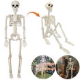 thumbnail image 4 of Esqueleto Cuerpo Halloween para Regalos Interior Y Exterior, 4 of 9