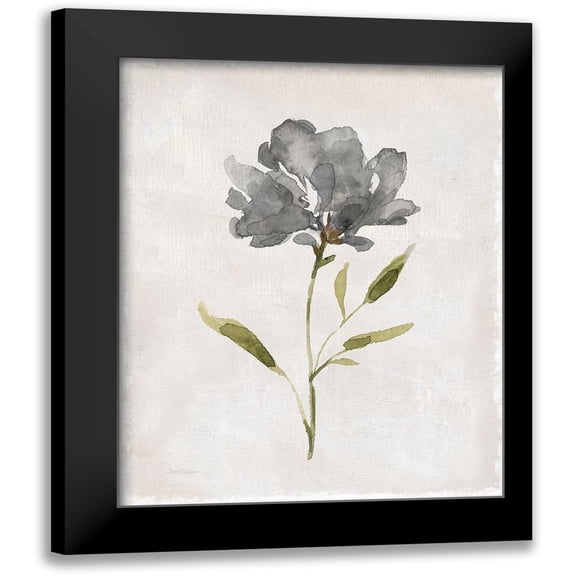 Robinson, Carol 12x14 Black Modern Framed Museum Art Print Titled - Botanical Beauty II