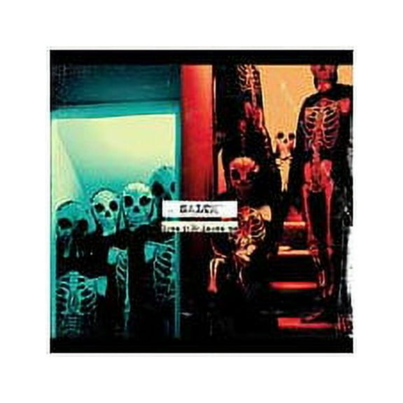 Salem: Adam D'Zurilla (vocals); Joseph Simmons, Jeremy Robertson (guitar); Thomas Rankine (bass); David Miller (drums).