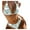 Mint Green, variant on KaLI_store Womens Swimsuits High Cut Yellow Floral Bikini Sets Underwire Swimsuits for Women Push Up 2 Piece Bathing Suits Mint Green,S