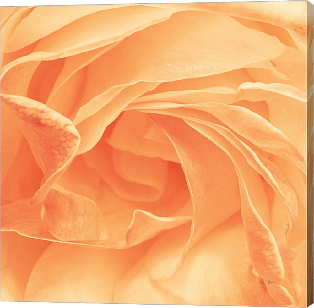 Georgia By Keri Bevan Canvas Wall Art Walmart Com Walmart Com