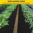 thumbnail image 5 of 6ft x 300ft Weed Barrier Landscape Fabric, Premium Non-Woven 1.8oz Ground Cover Weed Block Gardening Mat, Easy Setup & Superior Weed Control, for Erosion Control, Weed Block, Ground Cover, 5 of 9