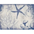thumbnail image 2 of Grey, Jace 24x19 White Modern Wood Framed Museum Art Print Titled - Sea Life in Navy 2, 2 of 4