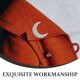 thumbnail image 3 of unbranded De En Con Lunar Y Para Decorar Prendas, 3 of 6