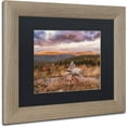 thumbnail image 2 of Trademark Fine Art "Apex" Canvas Art by Michael Blanchette Photography Black Matte, Birch Frame, 2 of 4