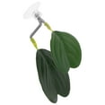 thumbnail image 2 of Lit de Repos pour Élevage de Bettes et Feuilles, Accessoire pour Aquarium, 2 of 9