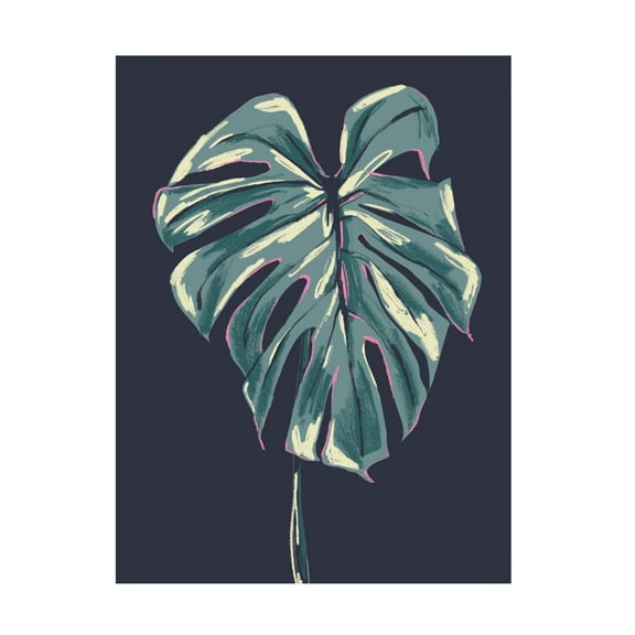 Trademark Fine Art Francesco Gulina Monstera Deliciosa Dark Canvas Wall Art