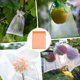 thumbnail image 2 of Uxcell 100 Pack Fruit Protection Bags - 6x8 Inch Fruit Netting Bags with Drawstring Apply to Plants(Orange), 2 of 7