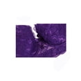 thumbnail image 2 of SOSTENES CHIC para Mujeres Copas Completas Transpirables Confort Encaje Floral Cobertura Completa Sin Almohadillas Con Aros Talla 42/95 Ajuste 40B/C Púrpura, 2 of 5