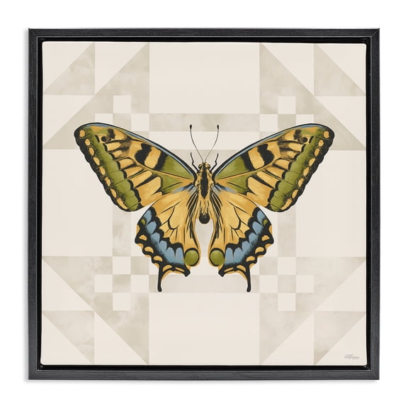Stupell Industries Transitional Green Swallowtail Butterfly Black Floating Frame Canvas Art, 18 x 18, by Cat Thurman Designs