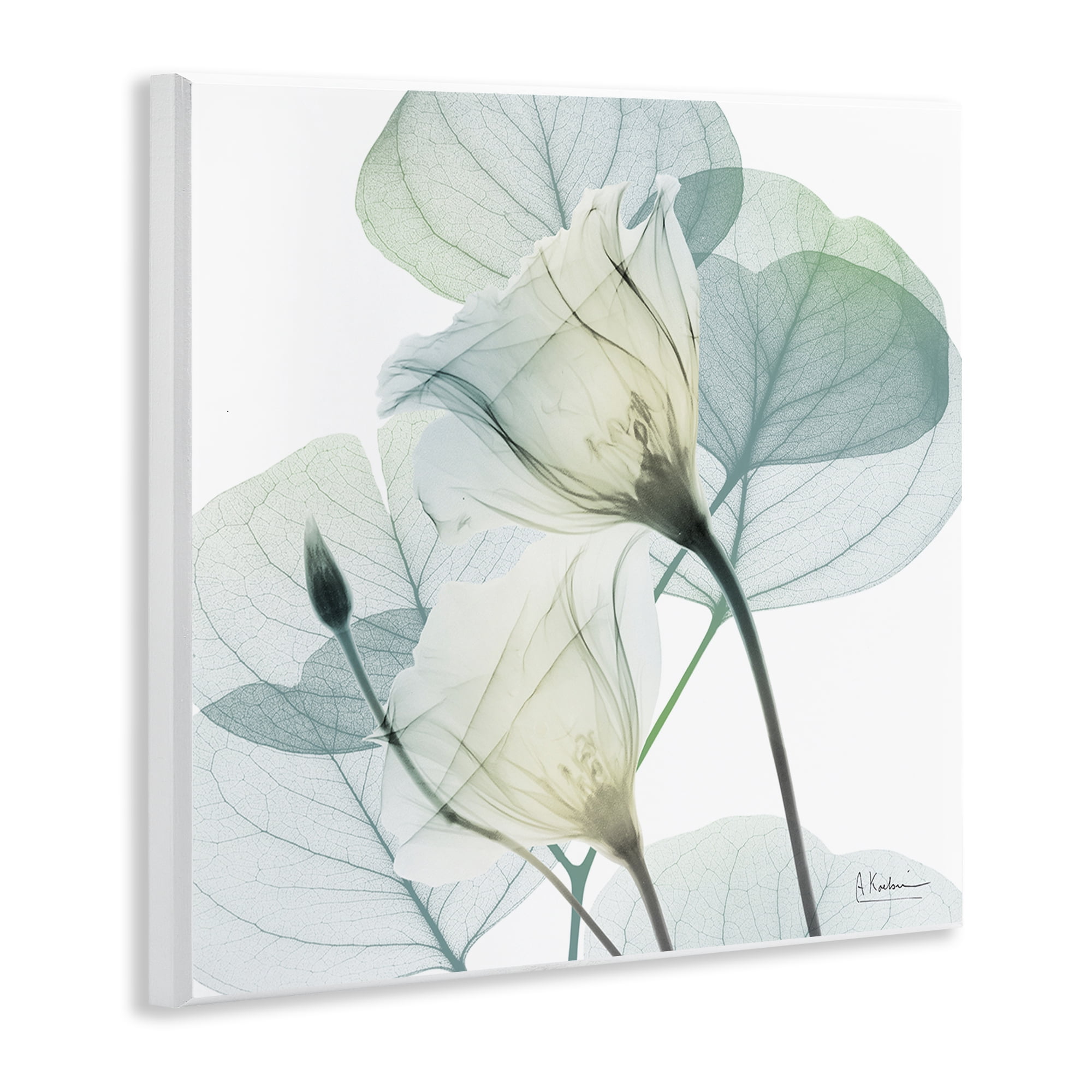 Stupell Industries Divine Fate Petals Wall Plaque Art, design by Albert Koetsier