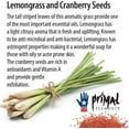 thumbnail image 4 of Primal Elements Sliced Soap Loaf, Handmade Natural Glycerin Rich Formula, 5 LB, Lemongrass and Cranberry Seeds, 4 of 6