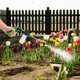 thumbnail image 5 of High Pressure Car Wash With Foam Long Nozzle Garden Hose Sprayer Multifunctional Adjustable Water Spray Nozzle With Soap Dispenser For Cars Plants, 5 of 8