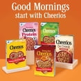 thumbnail image 4 of Honey Nut Cheerios, Heart Healthy Gluten Free Breakfast Cereal, Family Size, 18.8 oz-2 pack- with Bowl, 4 of 9