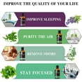 thumbnail image 5 of MAYJAM 30Ml Tea Tree Oil for Hair, 100% Pure Essential Oils for Skin Care, Massage, Relaxation, Aromatherapy, Diffusers, Home, 5 of 8